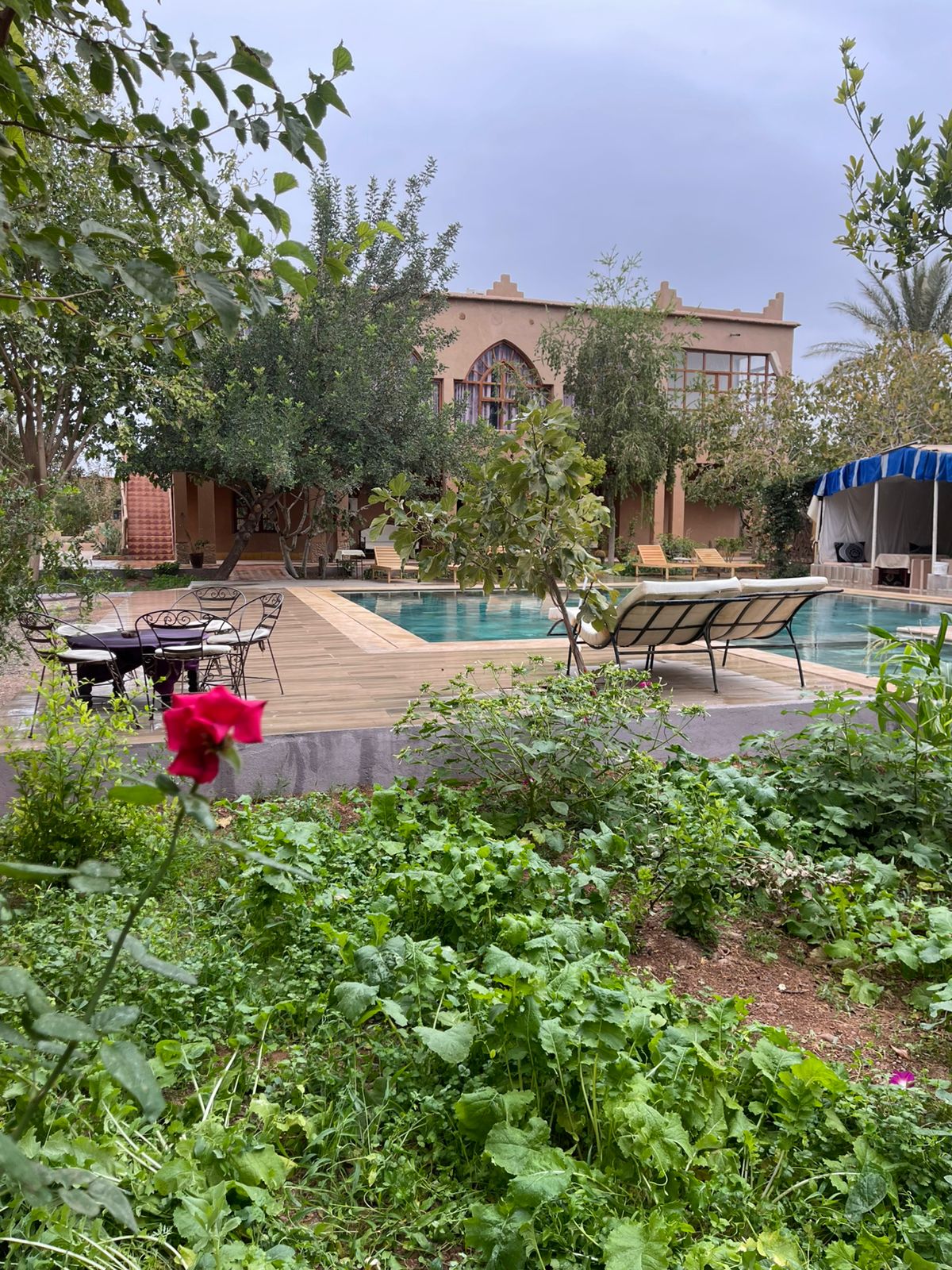 Célébrez la Nouvelle Année sous les Palmiers de Skoura Célébrez la Nouvelle Année sous les Palmiers de Skoura